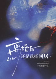 离婚后还是选择同居 小说